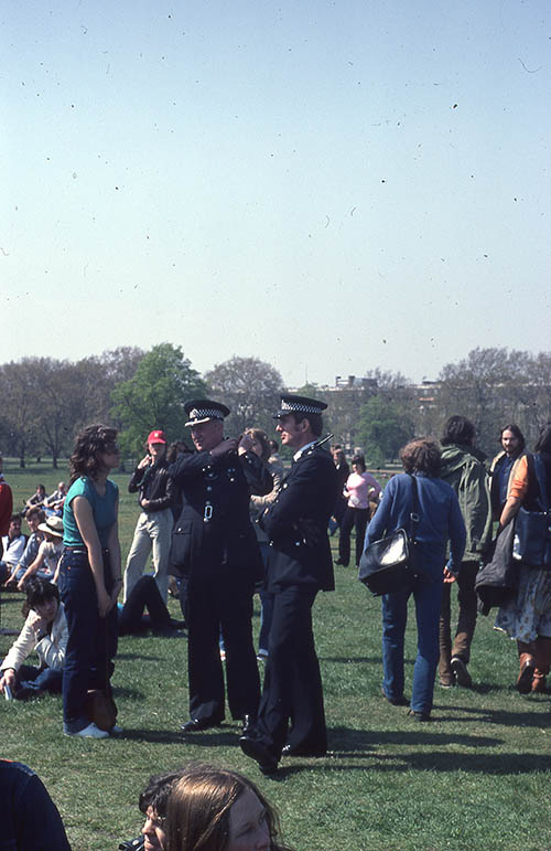 bears 1980