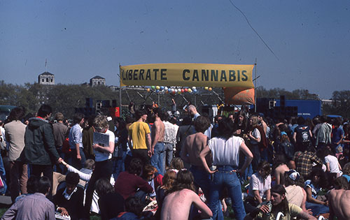 bears 1980