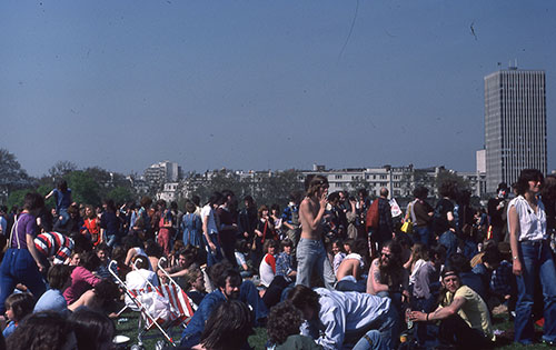 bears 1980