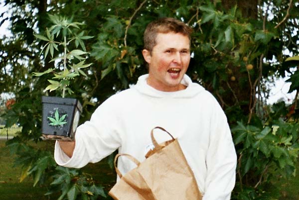 Free Rob with canabis plant