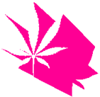 Know Cannabis logo