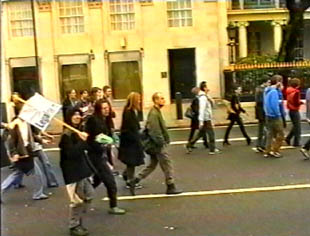 IoS decriminalise cannabis march