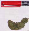 A small amount of "home grown" weed